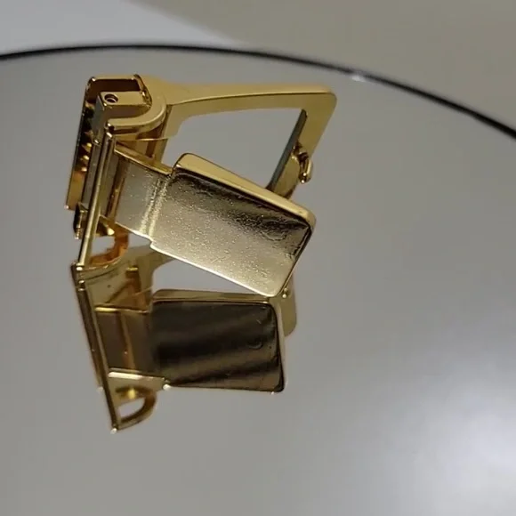 Beautiful LNWOT Christian Dior Belt Buckle!